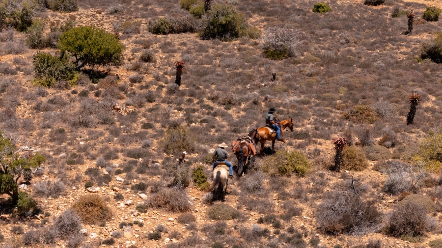 5 Bedroom Property for Sale in Uitenhage Rural Eastern Cape